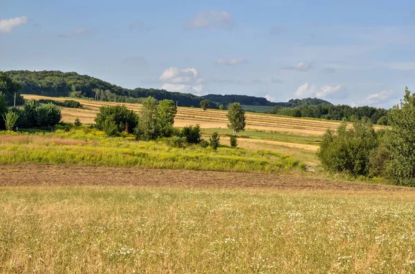 Zomer Landelijke Landschap Gouden Landbouwgrond Met Prachtige Groene Heuvels Achtergrond — Stockfoto