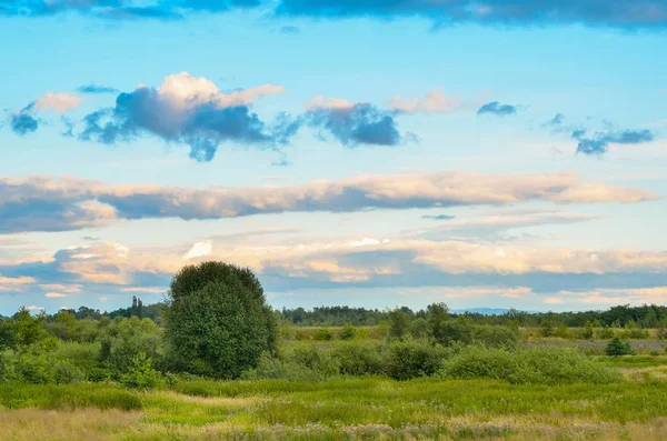 Goedemiddag Prachtige Zomer Landschap Blauwe Lucht Groene Weiden — Stockfoto