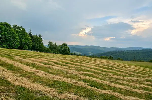 Gyönyörű Hegyvidéki Táj Tavaszi Színek Hegyekben — Stock Fotó