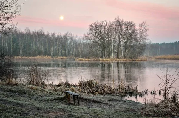 Winter Morning Landscape Island Lake Morning Scenery — 스톡 사진