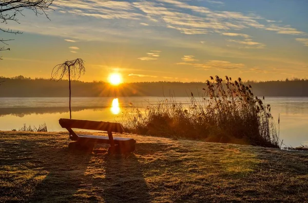 Beautiful Sunny Landscape Bench Edge Lake Sunrise — Stock Photo, Image