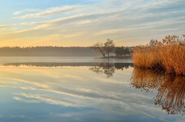Прекрасный Утренний Пейзаж Буши Деревья Озера — стоковое фото