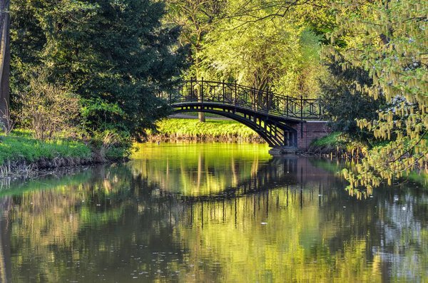Beautiful spring nature. A bridge in a park by the pond.