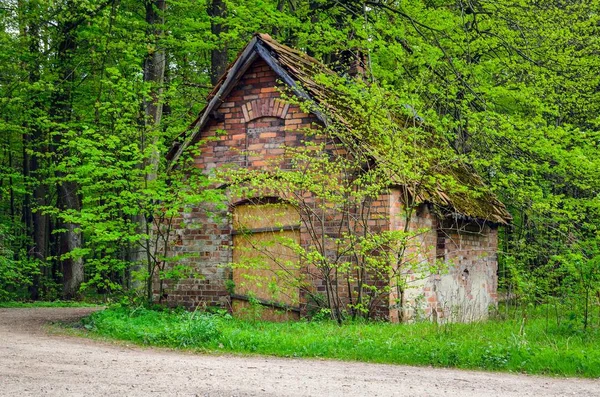 Old architecture among green nature. Old destroyed historic bread oven in the forest.