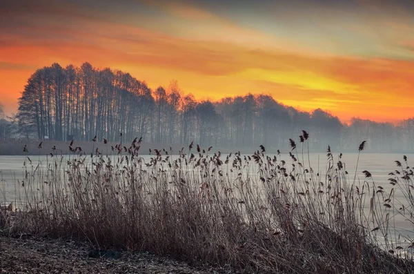 Beautiful Winter Sunrise Frosty Morning Lake — Stock Photo, Image