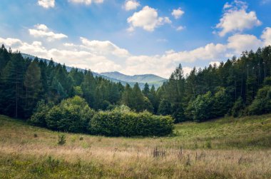 Güzel peri masalı dağ manzarası. Yaz manzarasında tepelerde yeşil ağaçlar.