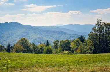 Güzel dağ manzarası. Yaz manzarasında dağlarda bir açıklık.