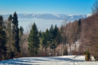 Güzel kış dağ manzarası. Dağ yamacında dağ yolu olan bir açıklık..