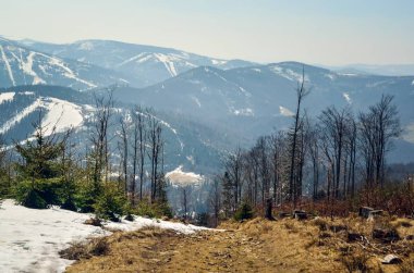 Güzel bir bahar dağı manzarası. Polonya 'da karlı dağ zirveleri.