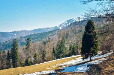 Güzel dağ ilkbahar manzarası. Bir dağ vadisinde güneşli bir hava.