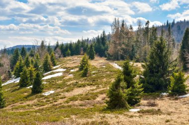 Güzel bir bahar dağı manzarası. Resimli dağlarda turist gezisi.