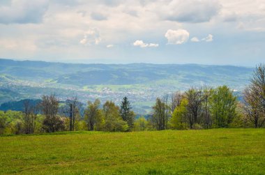 Güzel bir bahar dağı manzarası. Tepelerdeki yeşil kırsal manzara.