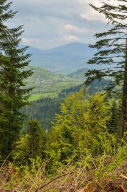Güzel bir bahar dağı manzarası. Ağaçların arasındaki köyün manzarası..
