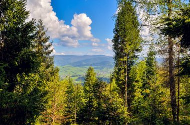 Güzel ilkbahar yeşili manzarası. Dağlardaki büyüleyici köylerin manzarası.