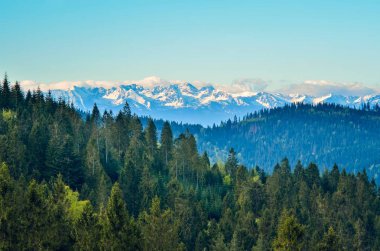 Güzel bir bahar dağı manzarası. Yeşil tepelerin üzerinde karlı dağlar.