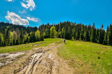 Güzel bir bahar dağı manzarası. Tepelerdeki yeşil çayırlar ve ormanlar.