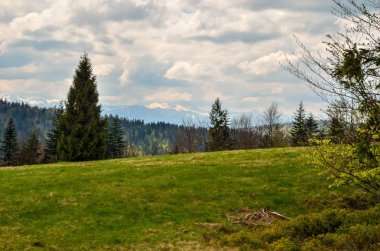 Güzel bir bahar dağı manzarası. Tepelerdeki yeşil çayırlar ve ormanlar.