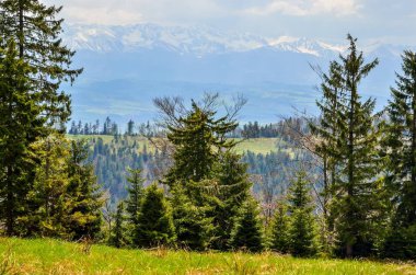 Güzel dağ ilkbahar manzarası. Güzel tepeler, büyüleyici vadiler ve tepeler.
