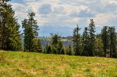 Güzel dağ ilkbahar manzarası. Güzel tepeler, büyüleyici vadiler ve tepeler.