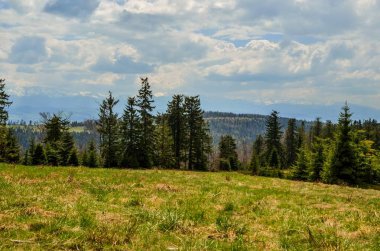 Güzel dağ ilkbahar manzarası. Güzel tepeler, büyüleyici vadiler ve tepeler.
