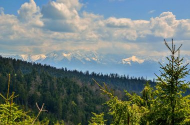 Güzel dağ ilkbahar manzarası. Yeşil tepelerin üzerindeki güzel karlı dağlar..