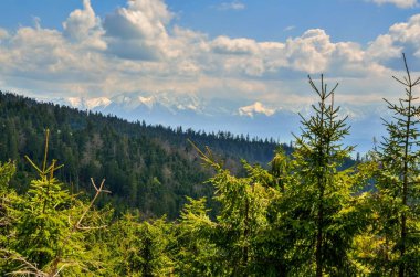 Güzel dağ ilkbahar manzarası. Yeşil tepelerin üzerindeki güzel karlı dağlar..