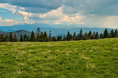 Güzel dağ ilkbahar manzarası. Güzel tepeler, büyüleyici vadiler ve tepeler.