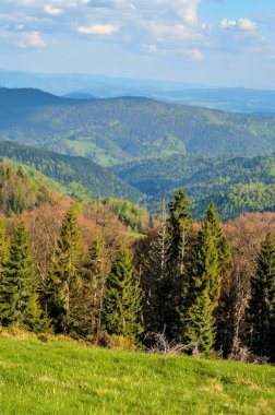 Güzel bir bahar dağı manzarası. Güzel tepelerde renkli bir gün.