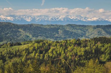 Büyüleyici bahar dağ manzarası. Güzelce karla kaplı yüksek tepeler.