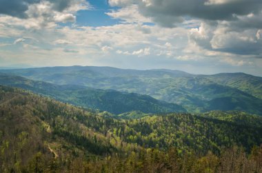 Muhteşem bahar dağ manzarası. Tepelerdeki ağaçların gölgeleri ve ışıkları.