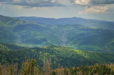Muhteşem bahar dağ manzarası. Tepelerdeki ağaçların gölgeleri ve ışıkları.