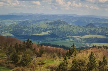 Güzel dağ ilkbahar manzarası. Resimli vadi ve yeşil tepeler.