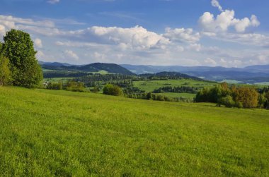 Güzel dağ ilkbahar manzarası. Resimli vadi ve yeşil tepeler.