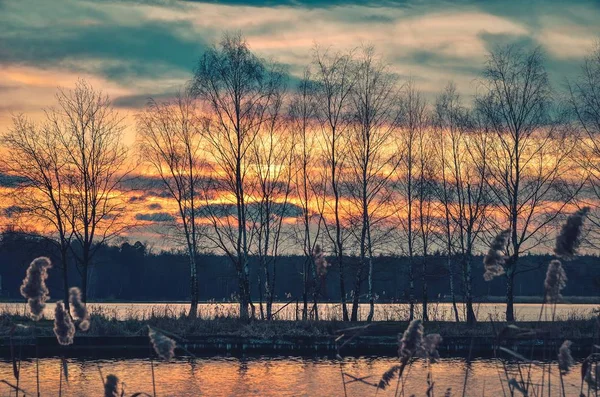 Beautiful Sunset Lake Trees Setting Sun — Stock Photo, Image