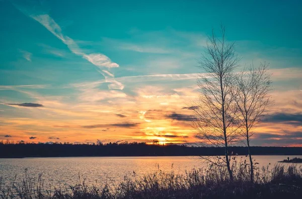 Piękny Krajobraz Zachodu Słońca Drzewa Brzegu Jeziora Kolorowym Niebem Tle — Zdjęcie stockowe