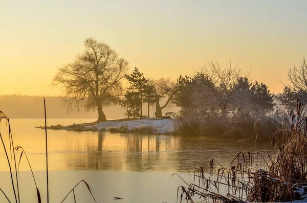 Winter Morning Landscape Trees Peninsula Beautiful Lake — Stock Photo, Image