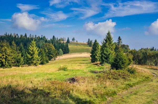 Beautiful Summer Landscape Fairytale Mountain Meadow Sunny Day — Stock fotografie