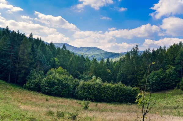 Krásná Pohádková Horská Krajina Zelené Stromy Kopcích Letní Krajině — Stock fotografie