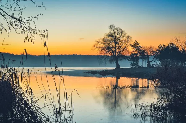 Прекрасный Утренний Пейзаж Дерево Полуострове Озера Рассвете — стоковое фото