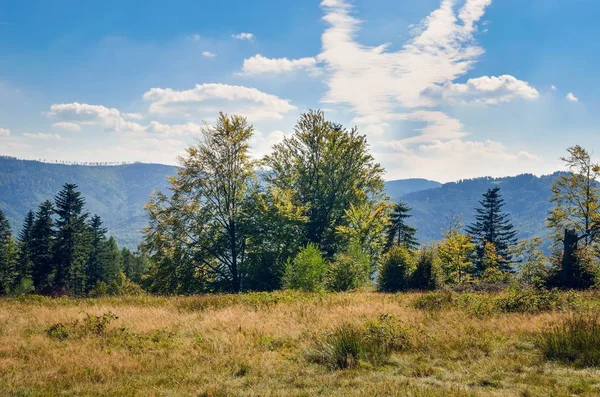 Wunderschöne Berglandschaft Lichtung Den Bergen Einer Sommerlichen Landschaft — Stockfoto