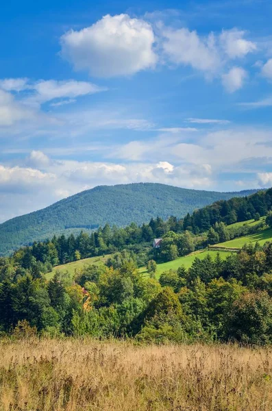 Bellissimo Paesaggio Rurale Montagna Cottage Sulle Colline Nel Paesaggio Estivo — Foto Stock