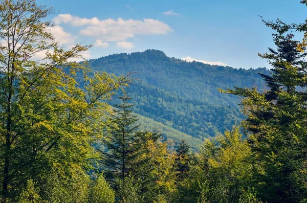 Wunderschöne Märchenhafte Berglandschaft Grüne Bäume Auf Den Hügeln Der Sommerlichen — Stockfoto