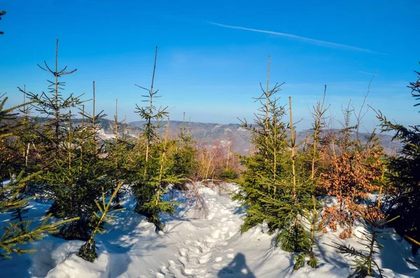 Hermoso Paisaje Montaña Invierno Día Soleado Sendero Las Montañas Polacas — Foto de Stock