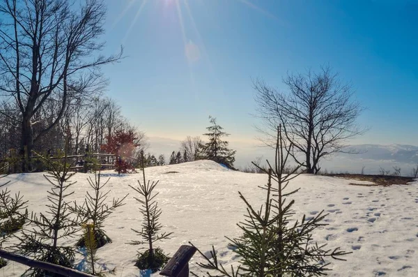 Fabuloso Paisaje Invernal Hermosa Vista Montaña Soleada Polonia — Foto de Stock