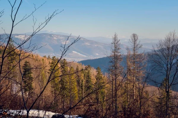 Hermoso Paisaje Montaña Invierno Día Soleado Sendero Las Montañas Polacas — Foto de Stock
