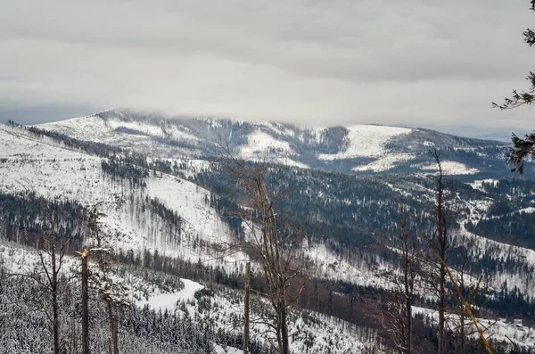 Schöne Winterliche Berglandschaft Wunderschön Verschneite Loipen Den Polnischen Bergen — Stockfoto