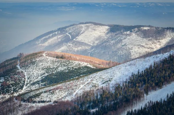 Krásná Zimní Pohádková Krajina Sněhem Porostlé Stromy Svahy Polských Horách — Stock fotografie
