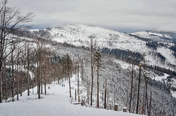 Όμορφο Χειμερινό Ορεινό Τοπίο Όμορφα Χιονισμένο Μονοπάτι Στα Πολωνικά Βουνά — Φωτογραφία Αρχείου
