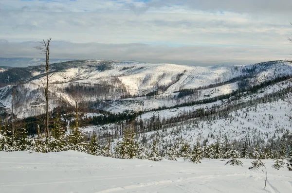 Όμορφο Χειμερινό Παραμυθένιο Τοπίο Χιονισμένα Δέντρα Και Πλαγιές Στα Βουνά — Φωτογραφία Αρχείου