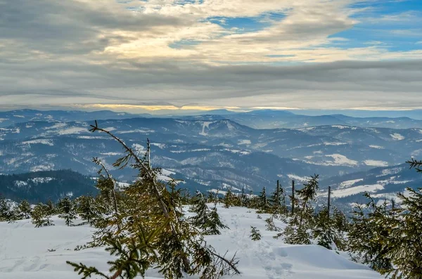 Krásná Zimní Horská Krajina Kouzelné Zasněžené Svahy Polských Hor — Stock fotografie